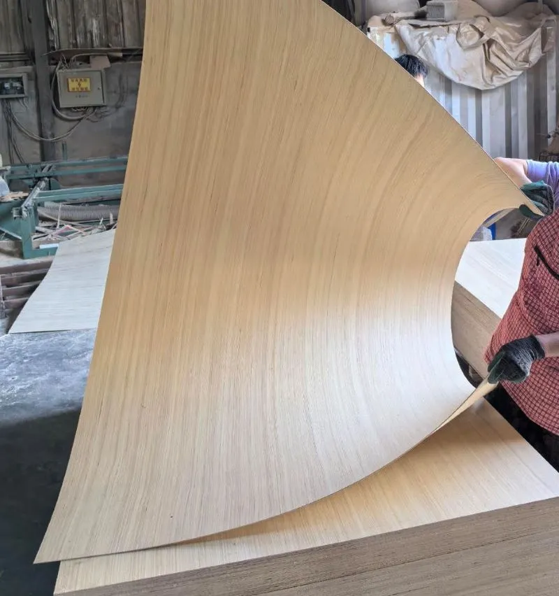 EV Poplar Veneer Plywood 2.5mm 3mm 3.6mm 5.2mm